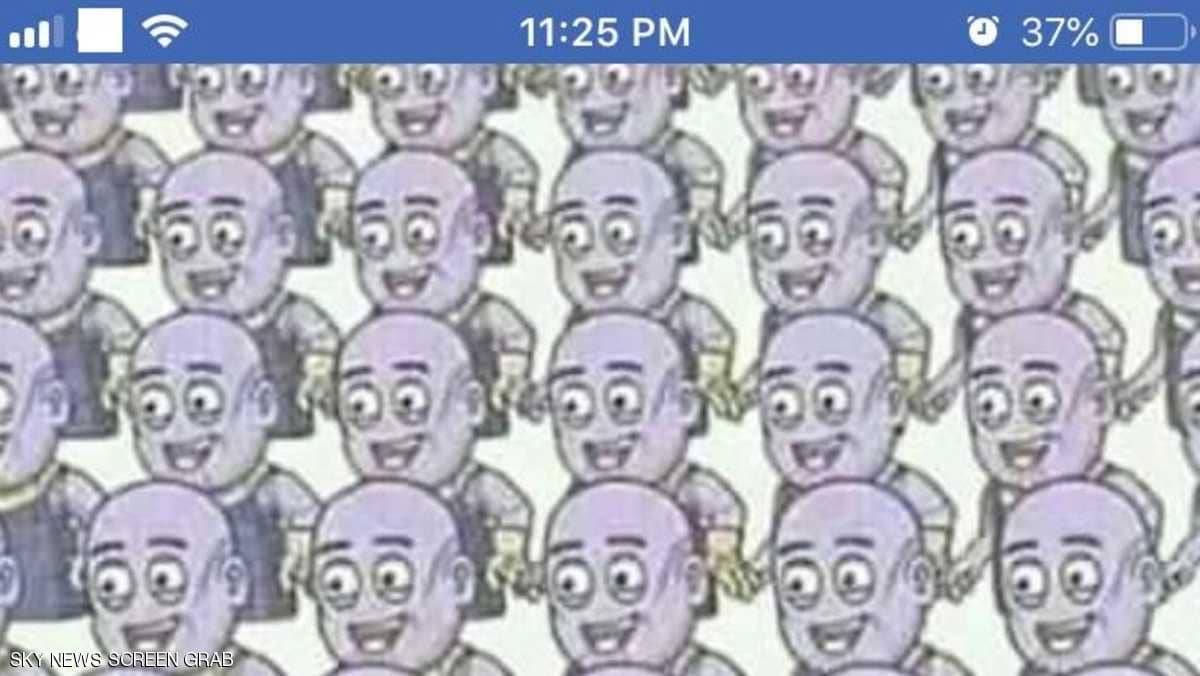 الصورة التي خدعت الملايين على فيسبوك!
