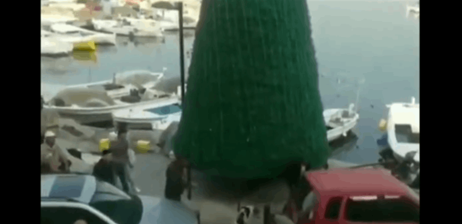 20 (شاباً مقابل كلب.. جريمة وحشية في صور (فيديو