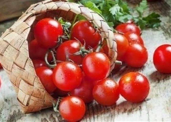 الطماطم تحمي من سرطان الكبد!