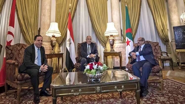 3 دول عربية تنسق مواقفها بشأن ليبيا