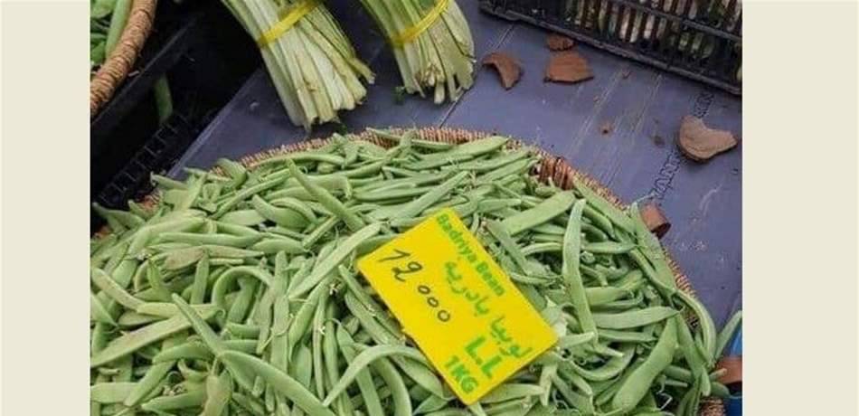 صحن اللوبية بزيت.. للميسورين فقط!