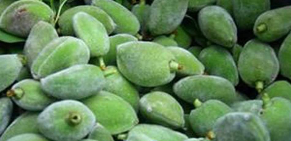خبر صادم عن اللوز و الجنارك...فقط في لبنان