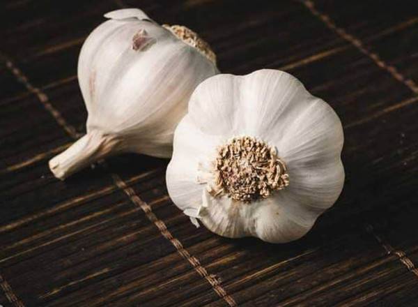 القوة ‘الخفية’ للثوم.. من طرد البعوض إلى مكافحة السرطان
