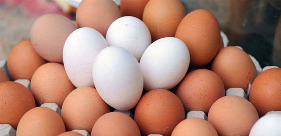 إذا كنتم من مدمني البيض.. فاحذروا!
