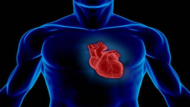 متى تعرف أن قلبك ينبض أكثر أو أقل من المعدل الطبيعي؟