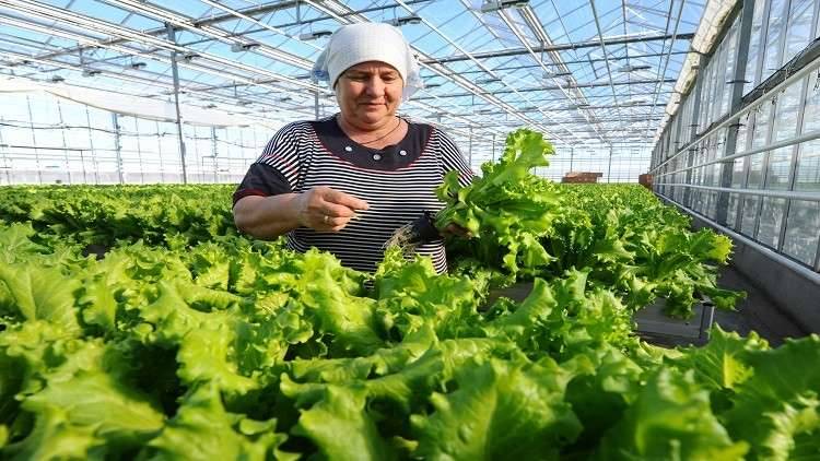 باحثة أمريكية: روسيا انتصرت في حرب العقوبات