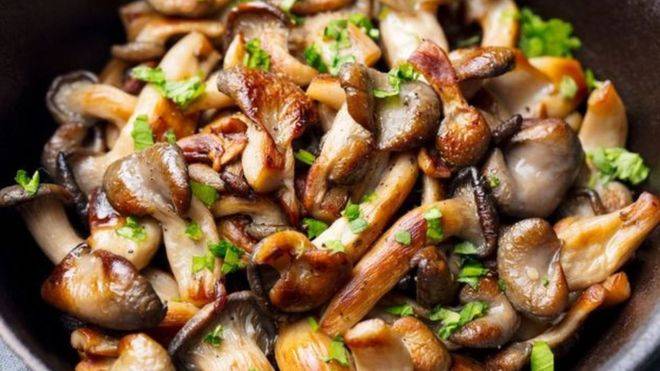 هذه هي فوائد الفطر الصحية الرائعة...