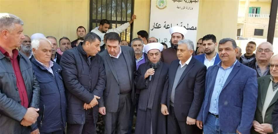 اعتصام لمزارعي سهل عكّار رفضاً لإغراق السوق بالبطاطا المصرية