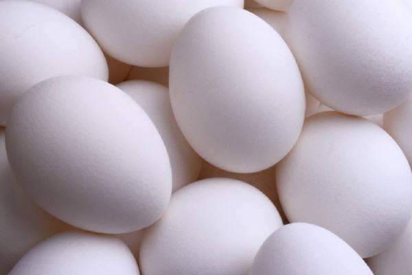 مربو الدواجن واصحاب مزارع البيض ناشدوا قائد الجيش تكثيف الجهود لضبط عمليات التهريب