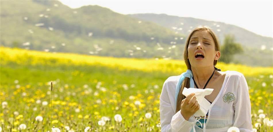 لمن يُصاب بحساسية الربيع.. إحذر القيادة فقد تعرّضك للخطر!