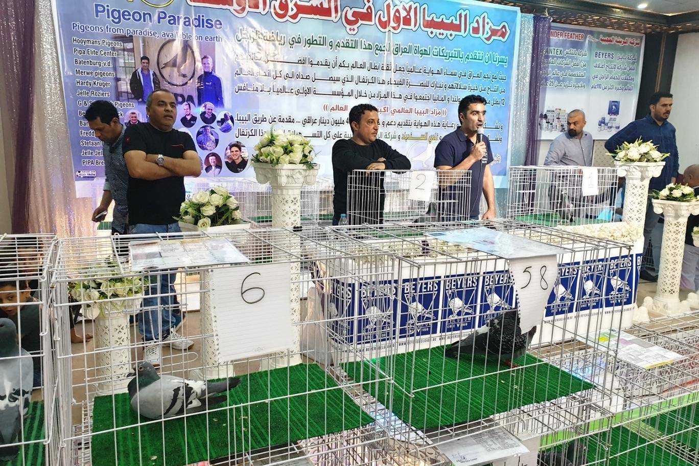 طيور أوروبية بعشرات آلاف الدولارات خلال مزاد لحمام الزاجل في البصرة