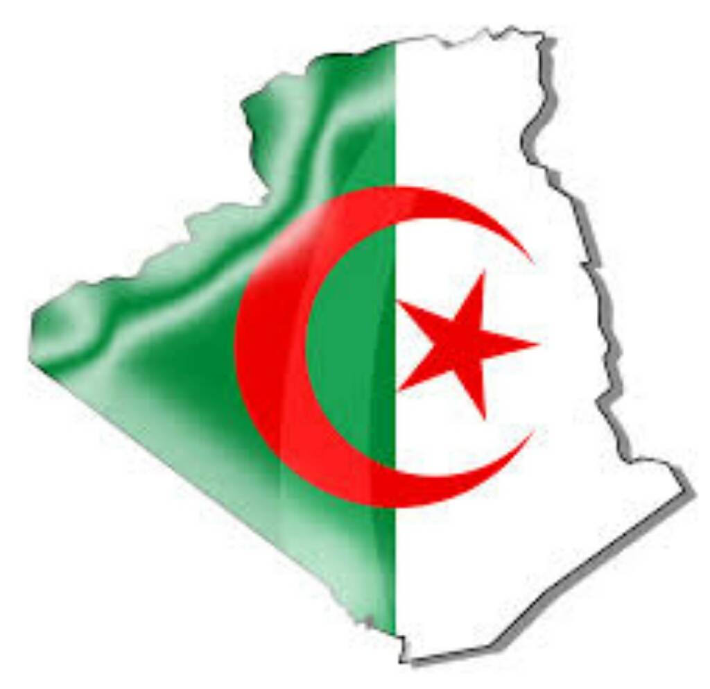 الجزائر الى اين بعد سقوط الرئيس بوتفليقة بعد حكم 22 سنة
وظهور الرجل القوي رئيس اركان الجيش الجزائري احمد قايد صالح