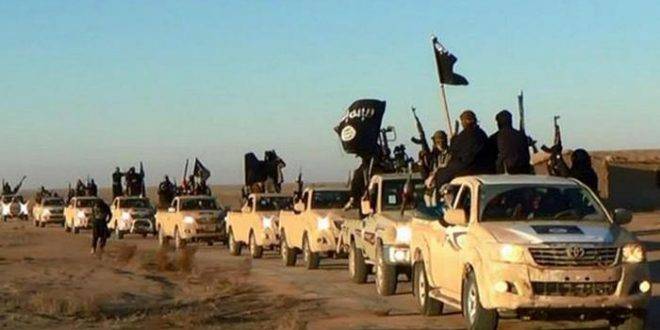 دير شبيغل تكشف عن محتوى صندوق الأسرار الذي وجد في سوريا