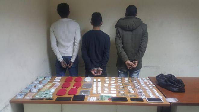 شعبة المعلومات تواصل توقيف مروجي المخدرات وتضبط بحوزتهم كميات منها