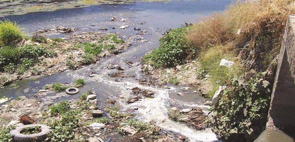 مزرعة خنازير ترمي نفاياتها في نهر رياق