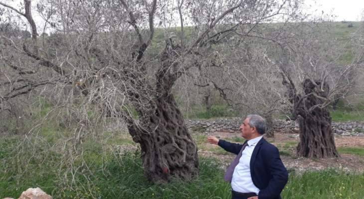 هاشم: أبواب الهدر كثيرة ولا حاجة لمد اليد على جيوب الطبقات الفقيرة والمتوسطة