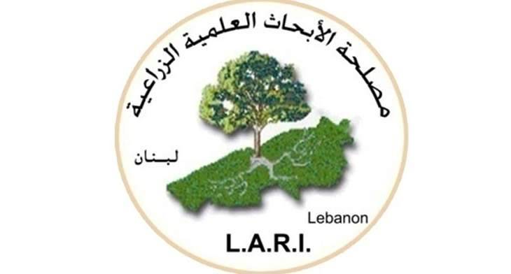 مصلحة الابحاث: ثلوج وصقيع ورياح قوية الاحد والاثنين