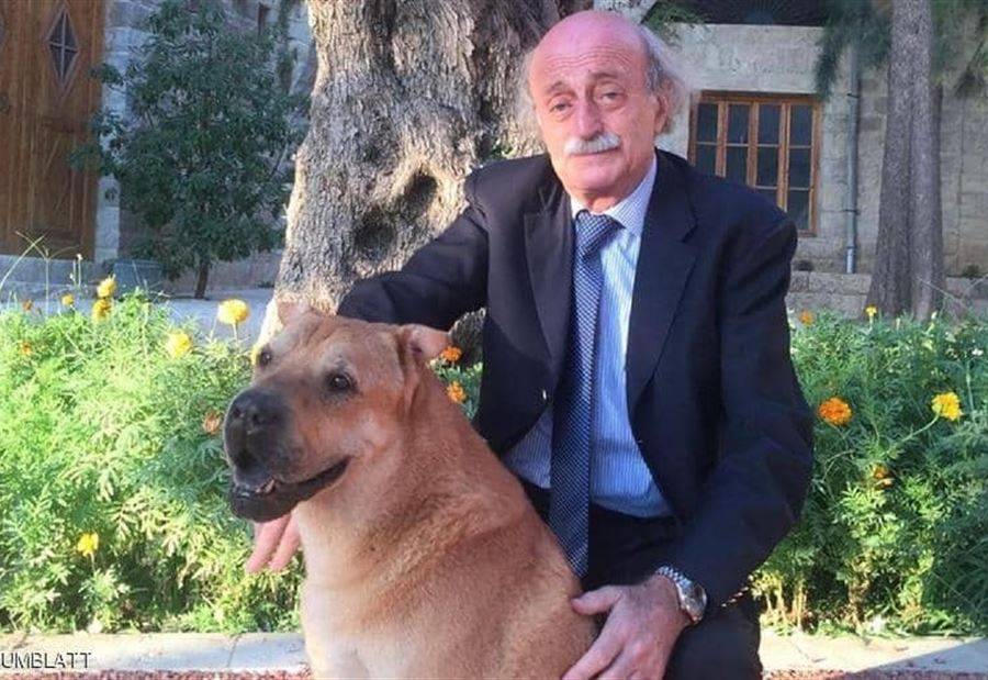 كلب جنبلاط "أوسكار" يستفز وهاب.. والأخير: "آن الأوان بأن تخجل"