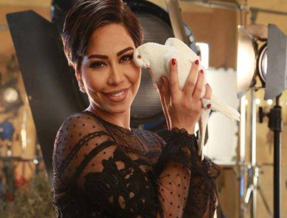 بالفيديو - تطور جديد في قضية شيرين.. 5 عقوبات في انتظارها!