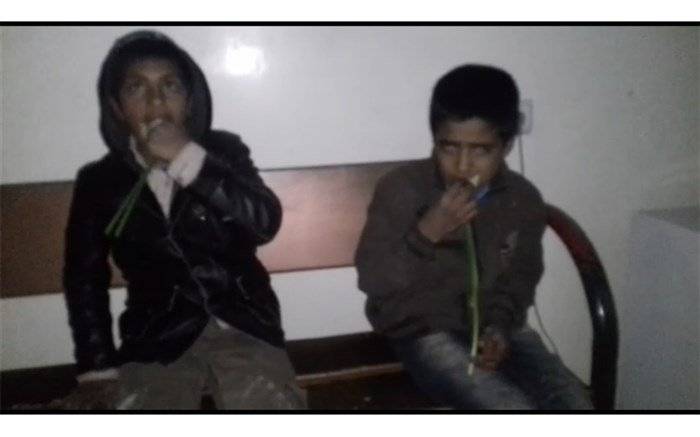 بالفيديو: موظف ايراني يجبر أطفالاً أفغان على أكل الزهور! 
ولن تصدقوا ما حصل بعدها!