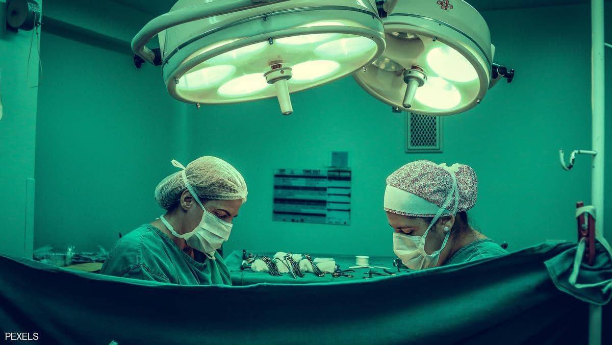 تجربة مثيرة للجدل .. علماء يطورون أعضاء بشرية في الحيوانات