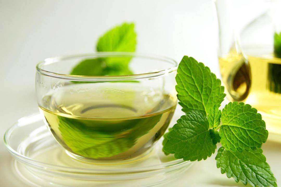 احرص على تناوله.. النعناع يحميك من هذه الأمراض