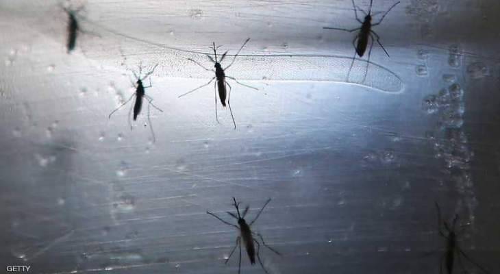 بلدية جزين بدأت برش المبيدات في المنطقة بعد انتشار الصراصير