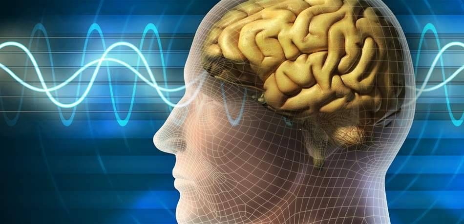 4 أطعمة تدمر الدماغ... إبتعد عنها فوراً (بالفيديو)