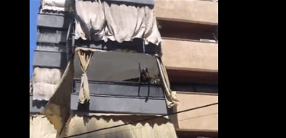 عاملة منزلية تثير ضجة في بيروت.. شاهدوا ماذا فعلت على شرفة المنزل! (فيديو)