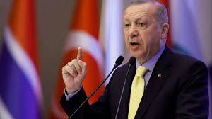 أردوغان يقول تركيا تواجه 