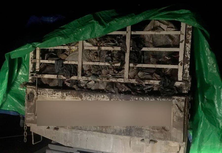 الحراس عادوا الى المدينة