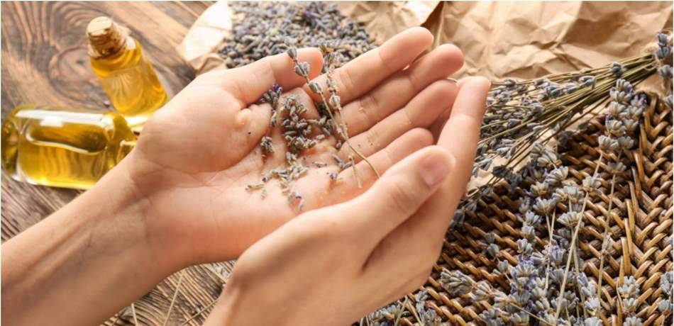 بعيدًا عن الأدوية.. زيت اللافندر أفضل علاج للقلق والتوتر!