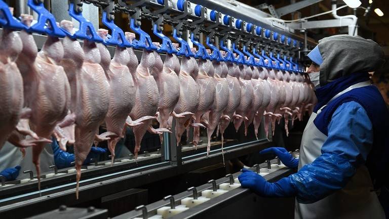روسيا تجاوزت الولايات المتحدة في خفض سعر الدجاج