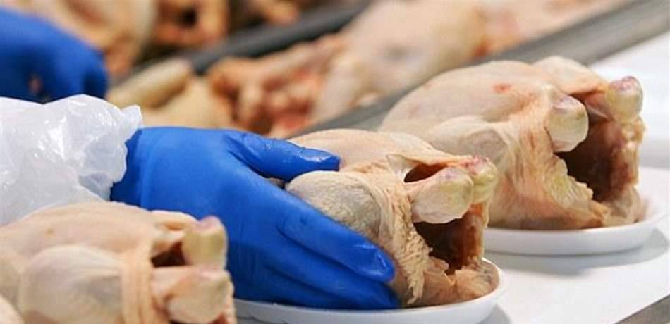 لا تغسلوا الدجاج النيىء قبل الطهي.. نصيحة صحية صادمة!