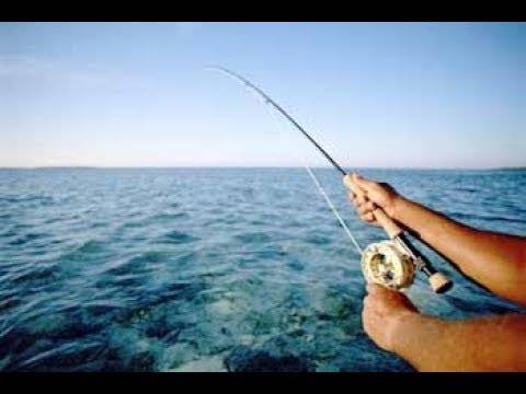 وفاة صياد اثر سقوطه بين الصخور عند شاطىء صيدا