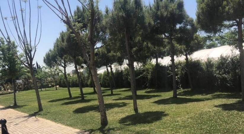 بلدية جبيل أعلنت عن إطلاق شارع وإقامة تمثال للبطريرك صفير في المدينة