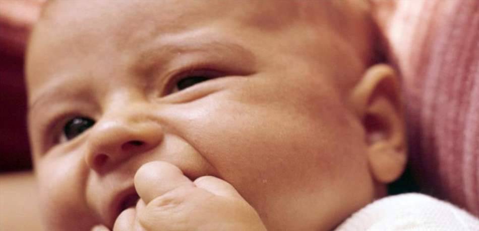 أهمية الفواكه للأطفال الرضع