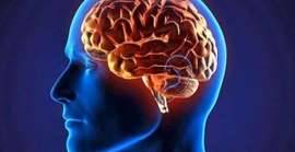 ما العلاقة بين جراثيم اللثة ومرض الزهايمر؟