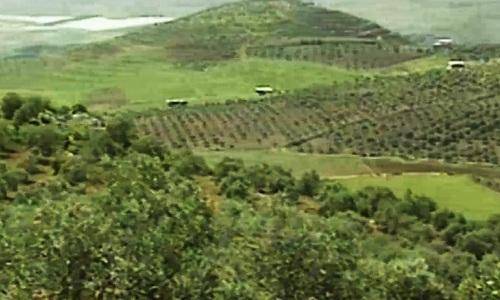 4 انفجارات داخل مزارع شبعا... والسبب مجهول