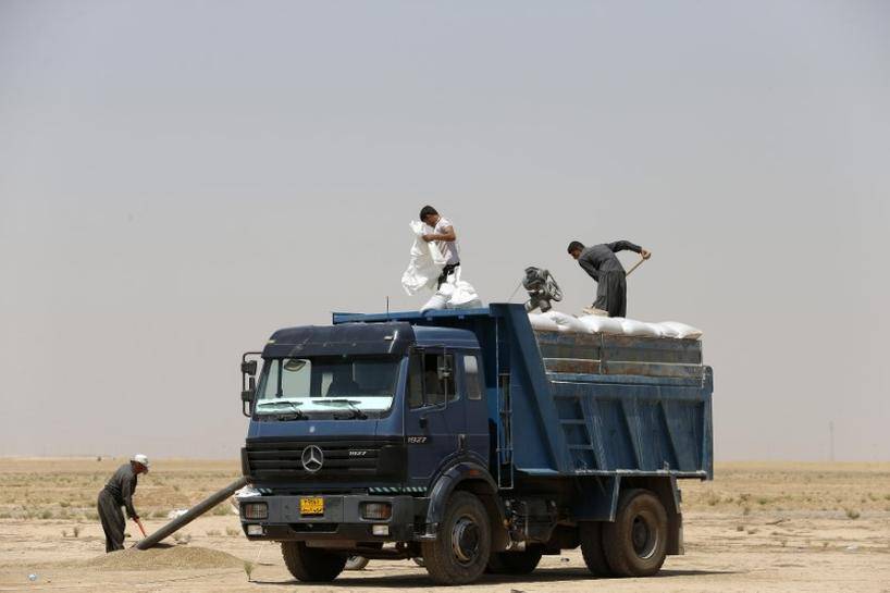 العراق اشترى ما يزيد عن 1.5 مليون طن من القمح المحلي
