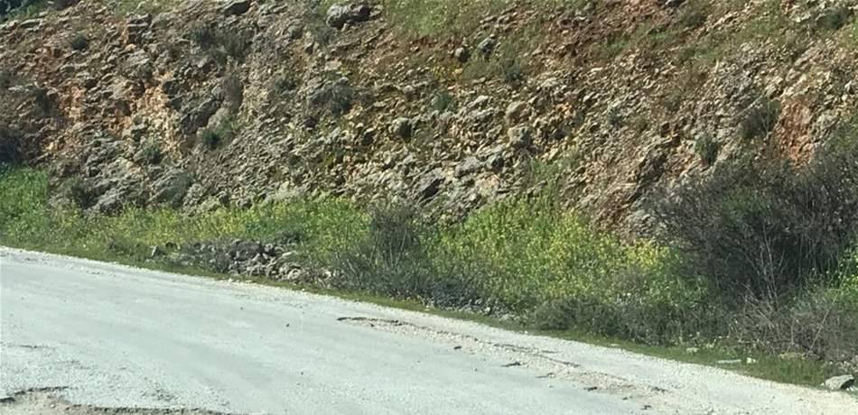 انزلاق صخري كبير على سيارة في جزين.. العناية الالهية أنقذت السائق!