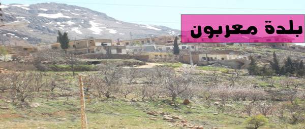 إستقالة 6 أعضاء من مجلس بلدية معربون