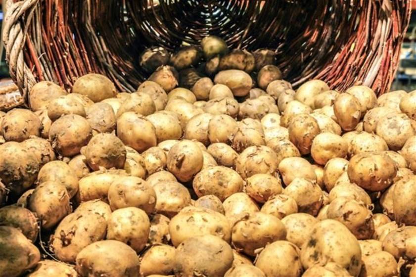 4 أخطاء تجنّبيها تماماً خلال تخزين الطعام!