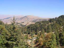 حدود جبل لبنان المسيحي بدأت تتحدد