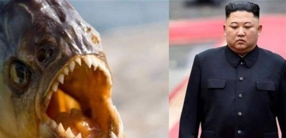 ألقي في حوض مليء بأحد أشرس أنواع الأسماك.. كيم يعدم جنرالا على طريقة جيمس بوند!