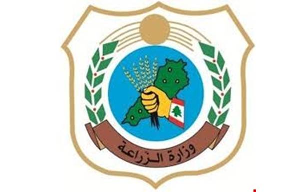 «الزراعة» تنفي ادخال «شحنة الأرز»