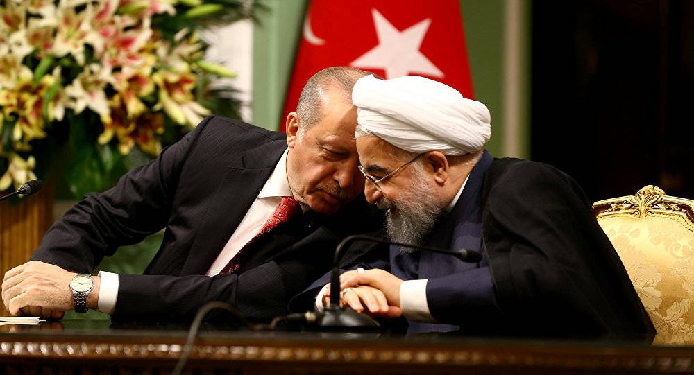 روحاني وأردوغان يؤكدان أهمية تطوير التعاون بين إيران وتركيا