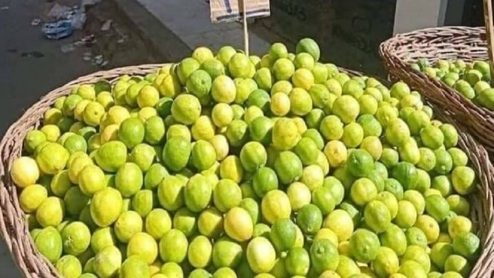 "الزراعة المصرية" تكشف أسباب ارتفاع أسعار الليمون في الأسواق