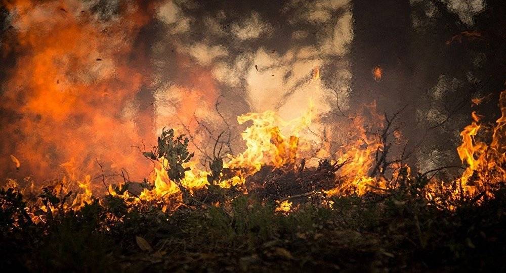 القوات الإسرائيلية تفتعل حريقا في الجولان المحتل يمتد إلى الأراضي السورية