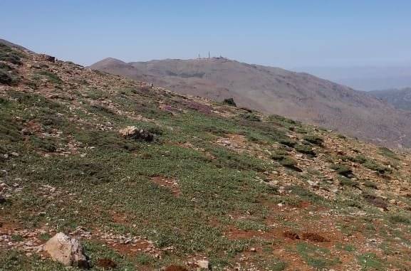 هلع في الجولان ودوي صافرات الانذار !